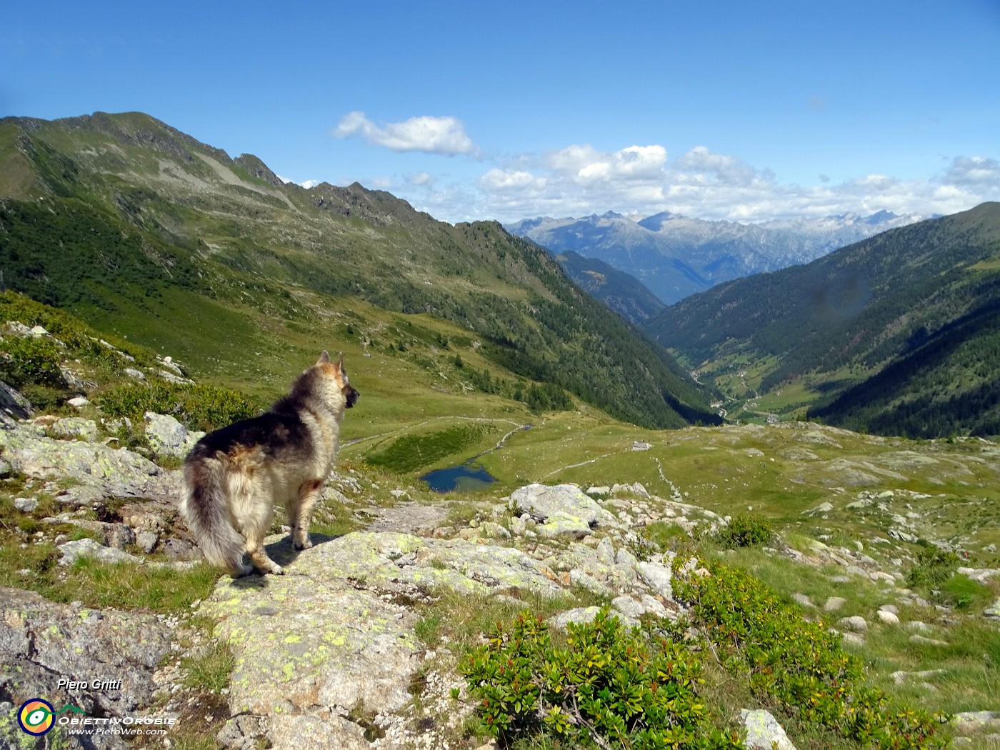 33 Dori ammira la Val Grande di Tartano con vista sulle Alpi Retiche.JPG